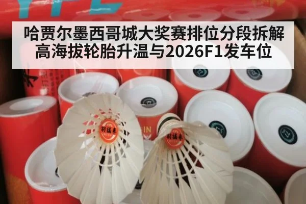 哈贾尔墨西哥城大奖赛排位分段拆解 高海拔轮胎升温与2026F1发车位